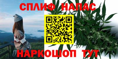 стаф Пугачёв