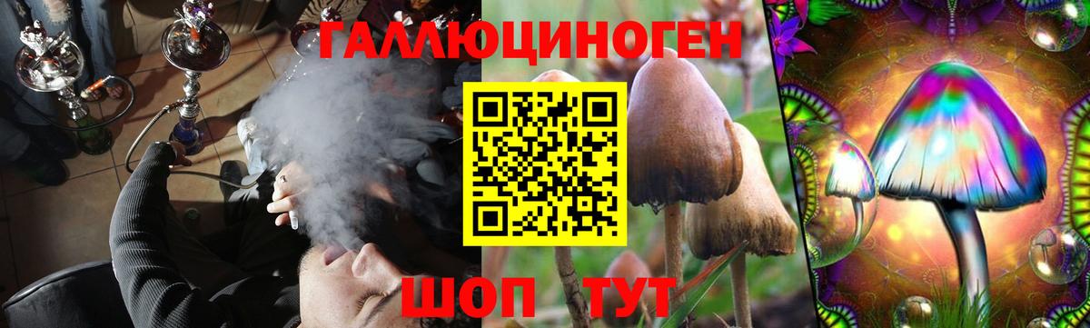Печора  Псилоцибиновые грибы мицелий  Галлюциногенные грибы прущие грибы  Вход с VPN 